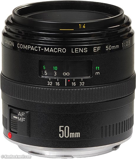 Canon 50mm Macro Review