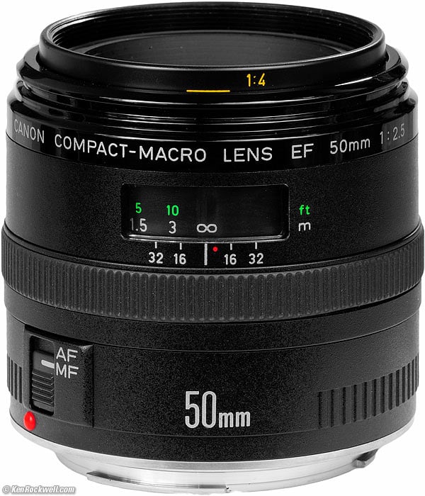 Canon 50mm f/2.5 Macro Review