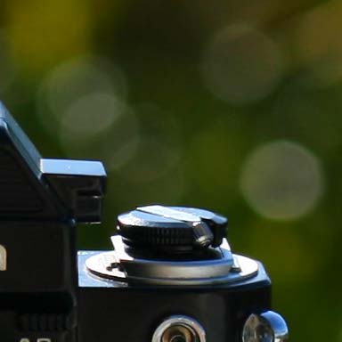 Canon 60mm Macro Canon 60mm Macro