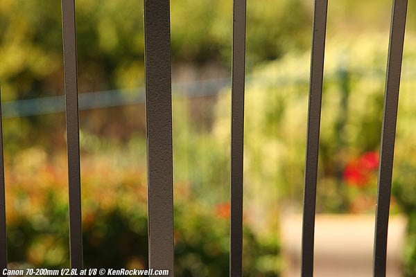 Canon 70-200mm f/2.8 L Review