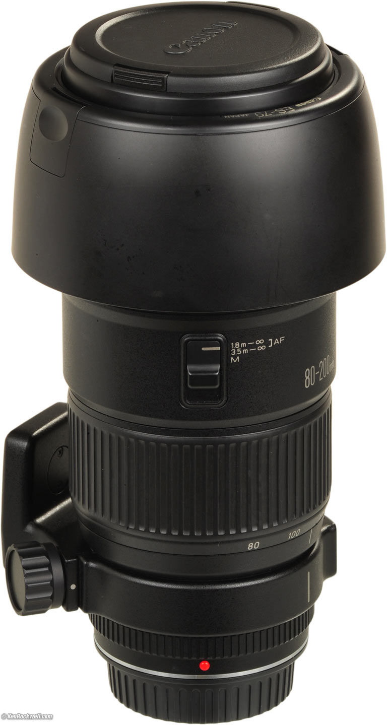 Canon 80-200mm f/2.8 L Review