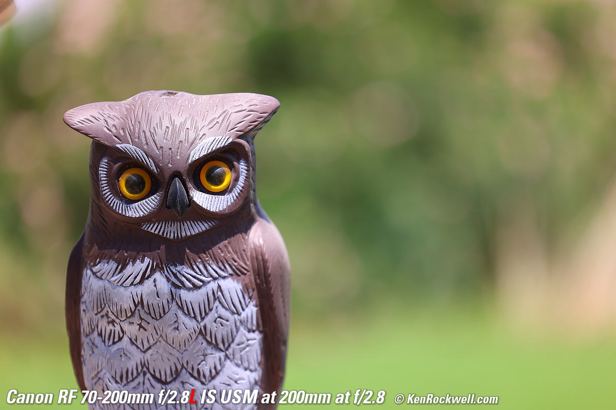 Canon RF 70-200mm f/2.8 Bokeh Sample Image File