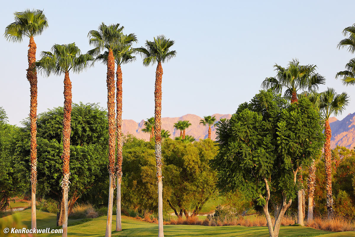 Canon RF 70-200mm f/2.8 Sample Image File