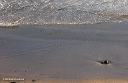 sand