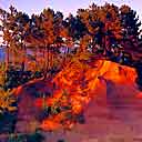 Rousillon