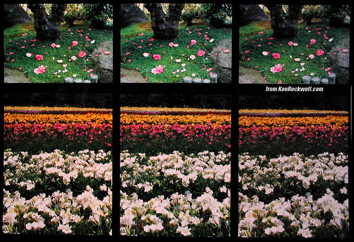 Fuji Velvia 100 comparison