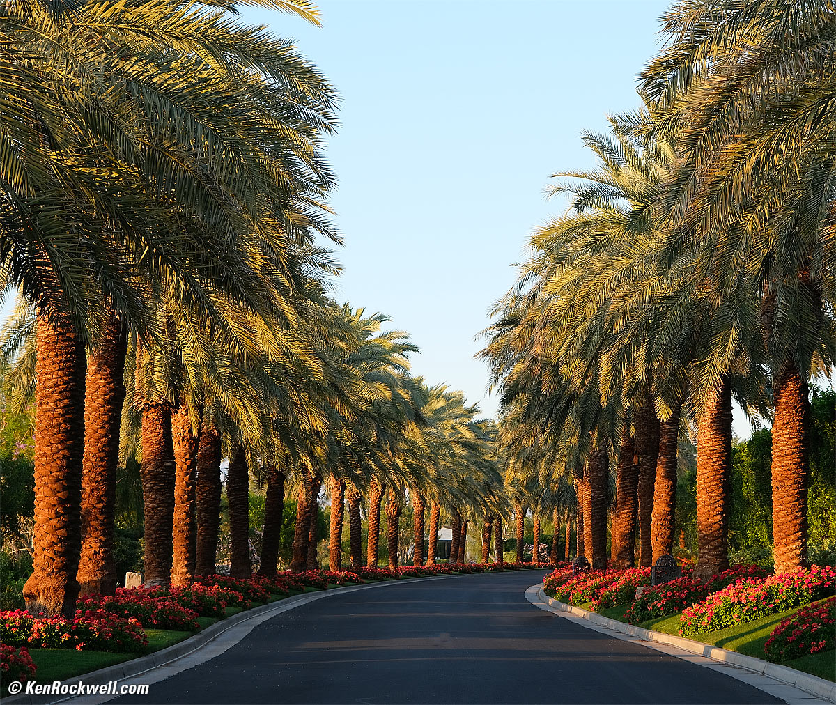Palm Drive
