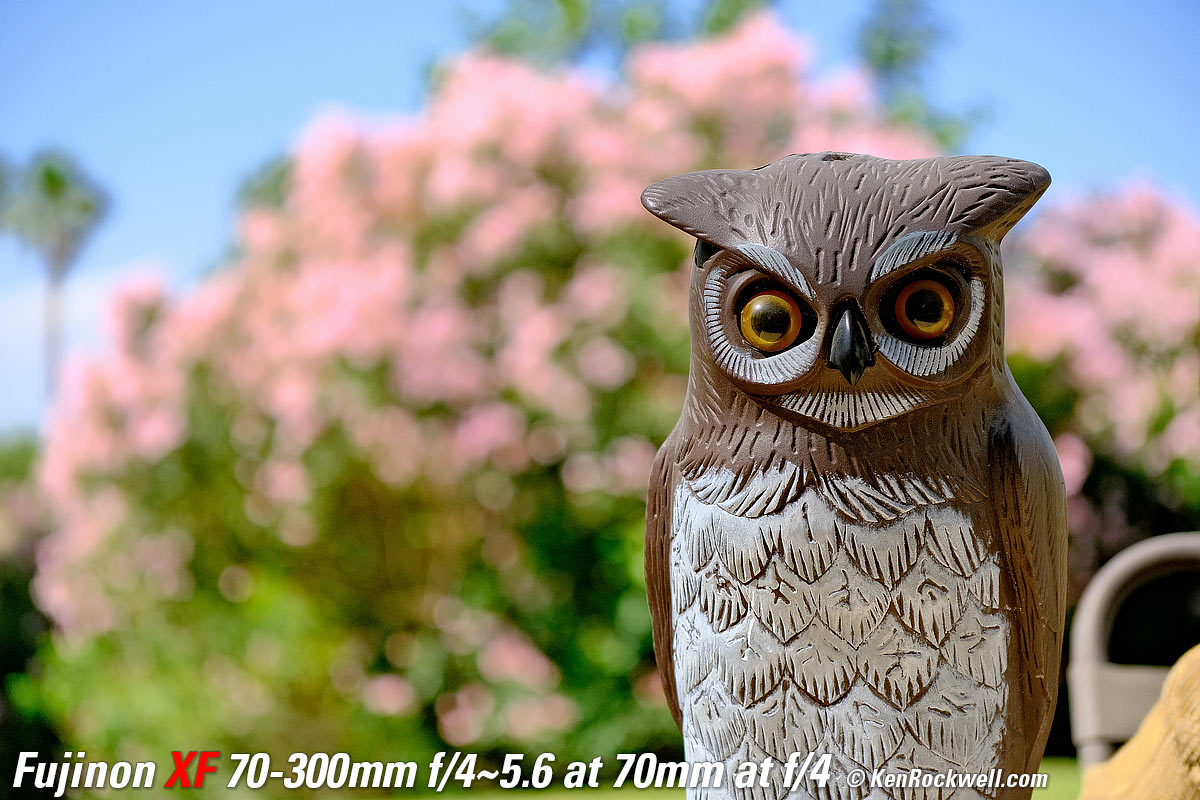 Fujifilm X-E4 Sample Image File