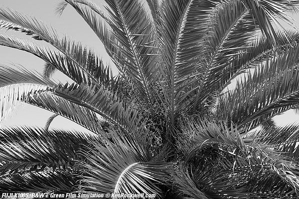 Fuji X100S Black and White Film + Red Filter Simulation mode
