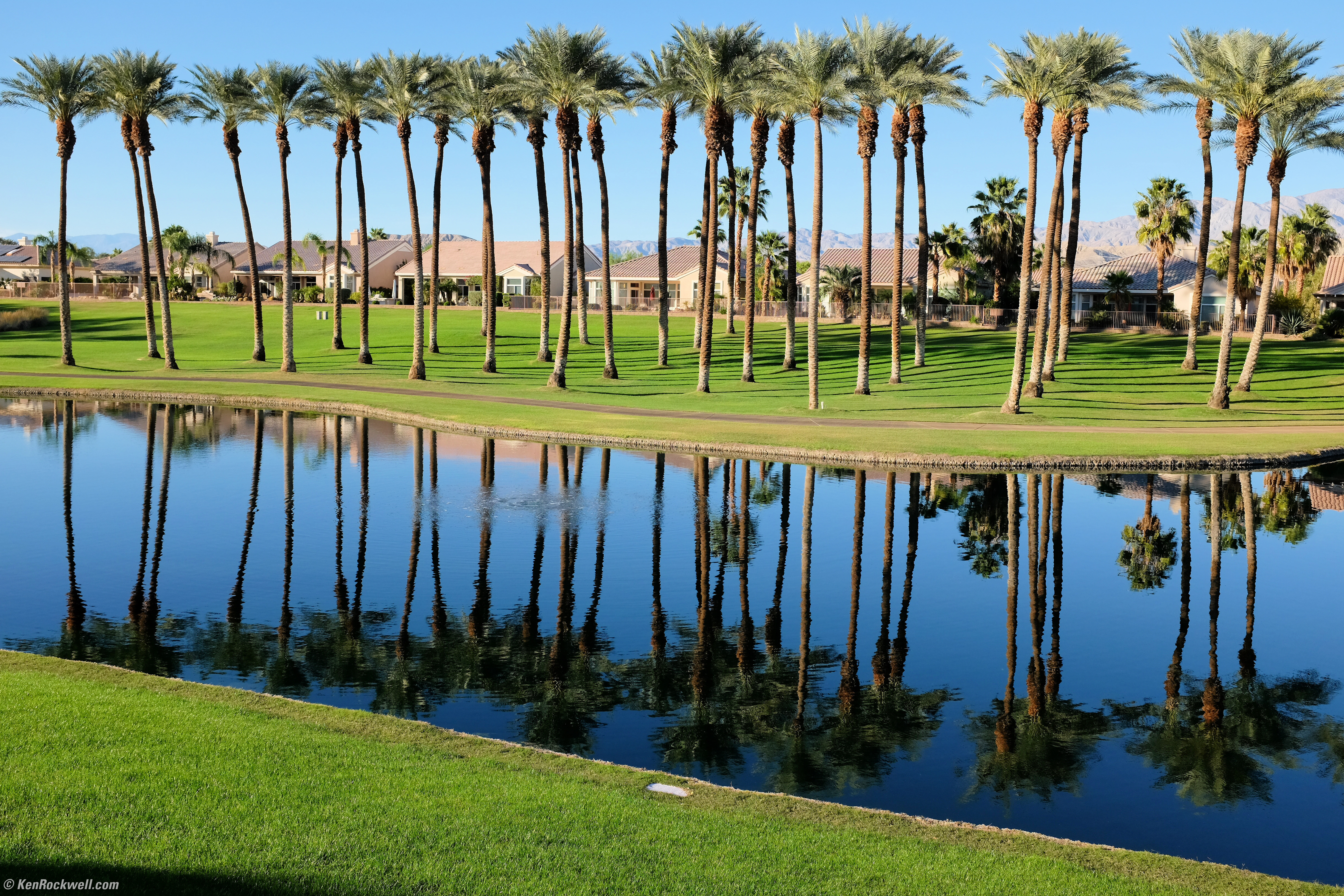 Palm Desert Escort
