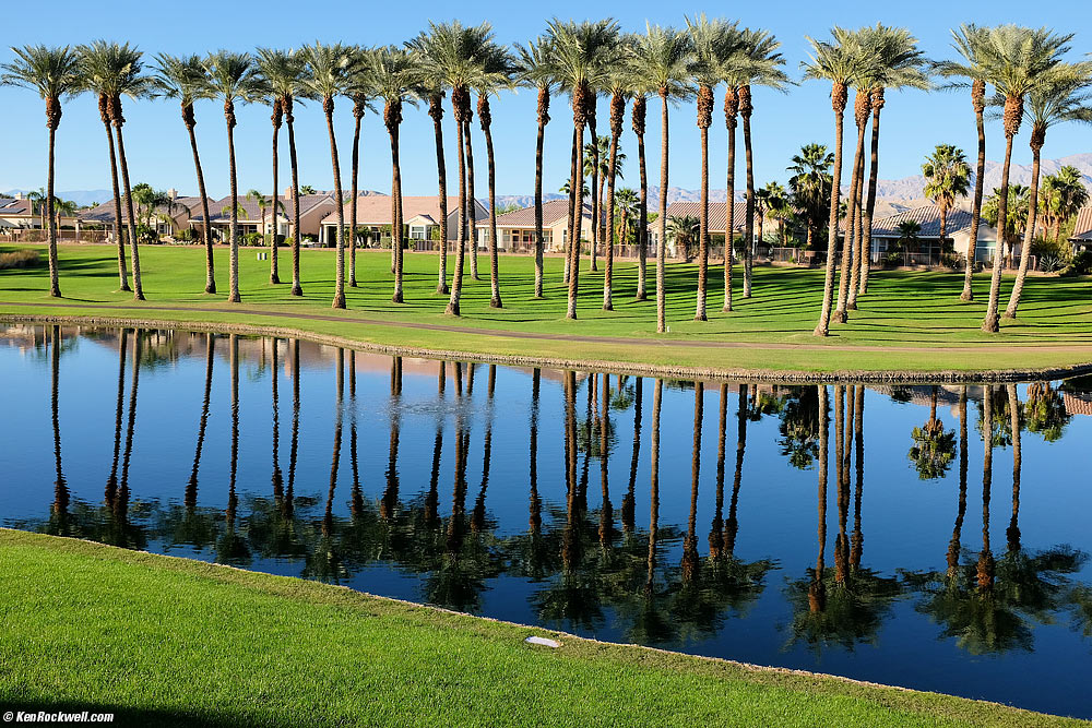 Palms at Sun City Palm Desert