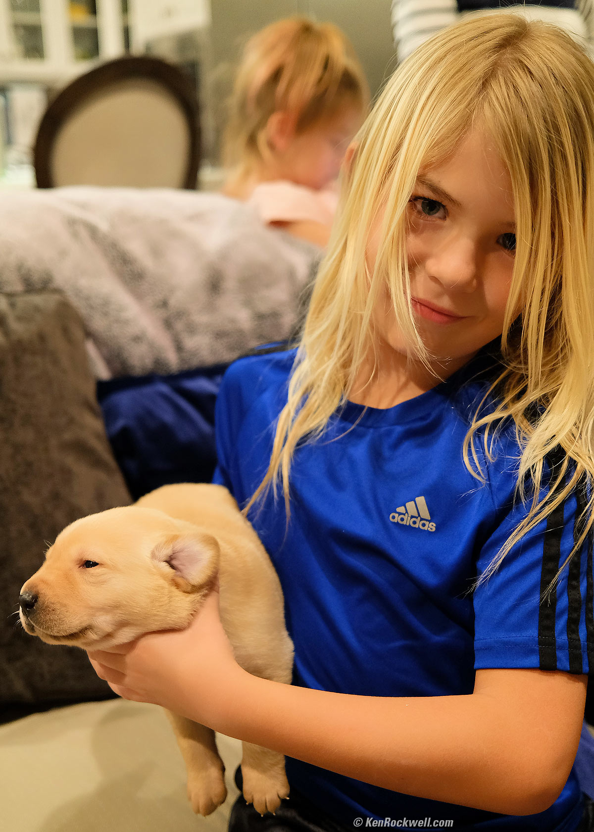Puppy
