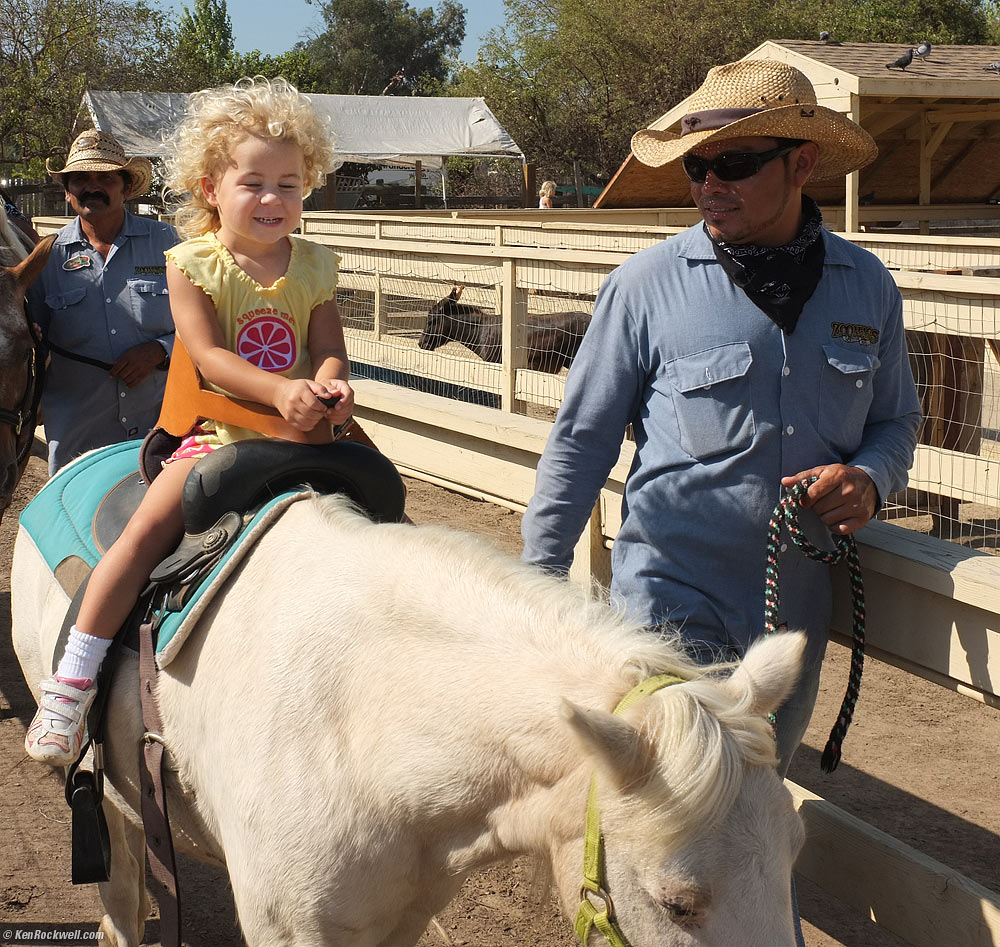 Pony Ride!