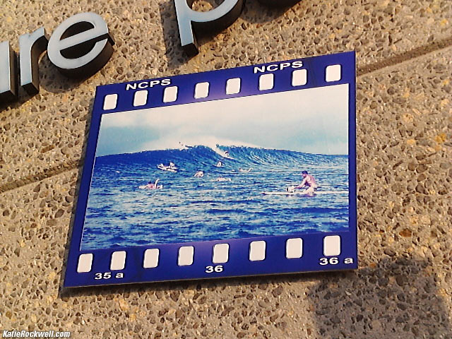Katie's photograph of  NCPS