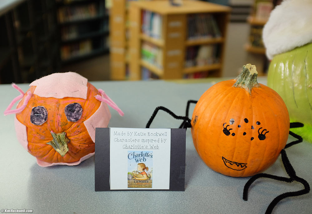 Katie's pumpkins as inspired by Charlotte's Web