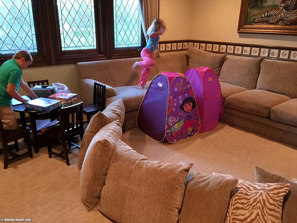 Christmas Tree, Ranch House, 12 December 2014