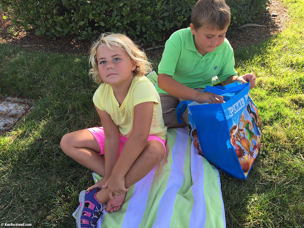 Katie brought us a Picnic