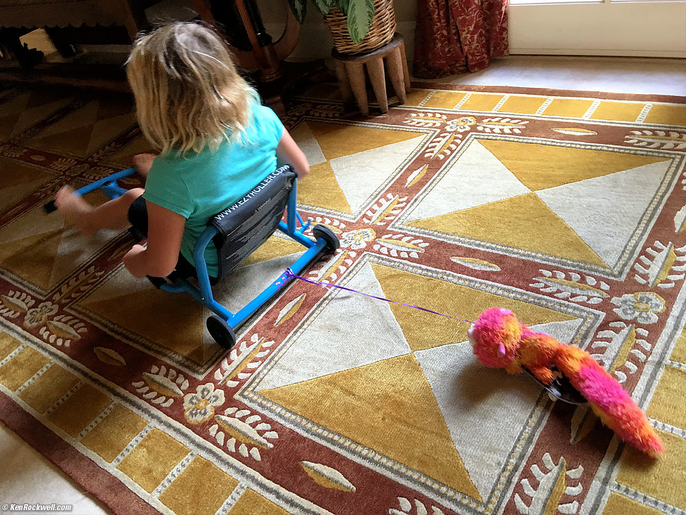 Katie takes Gumdrop for a ride on a small skateboard