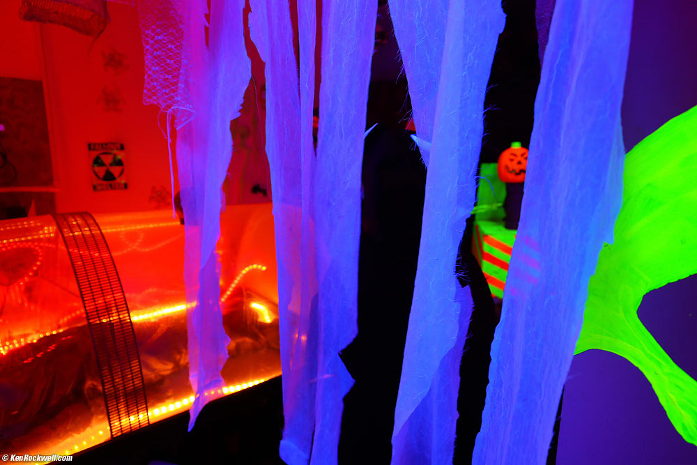 Inside the crazy haunted house