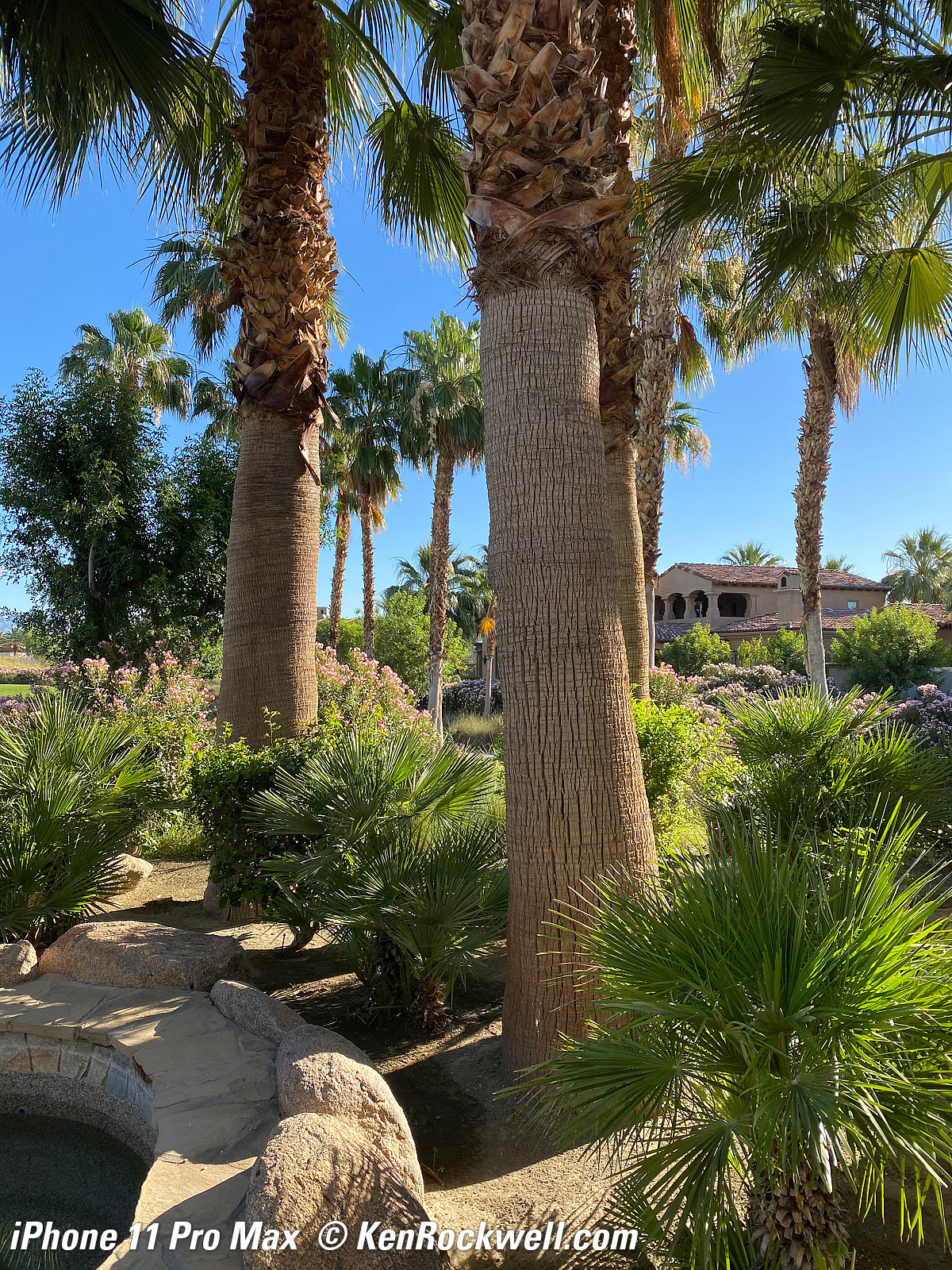 iPhone 11 Pro Max versus LEICA Q2