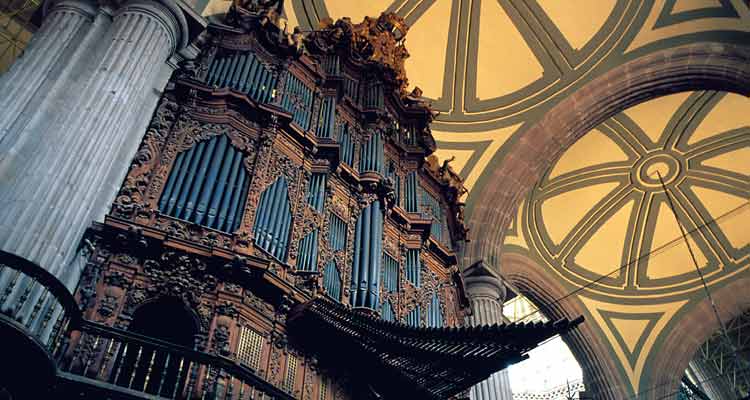 organ