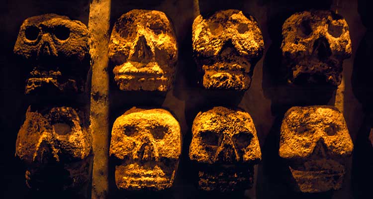 skuls
