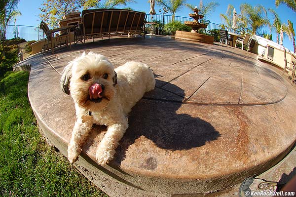 Megan in Fisheye