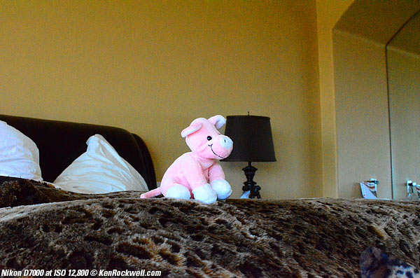 Nikon D7000 at ISO 12,800