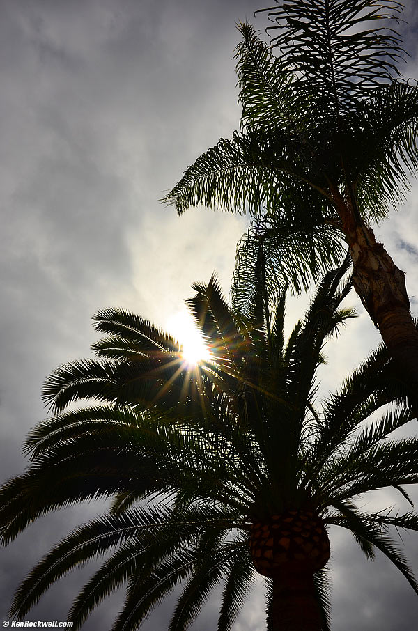 Nikon Coolpix A Sunstars