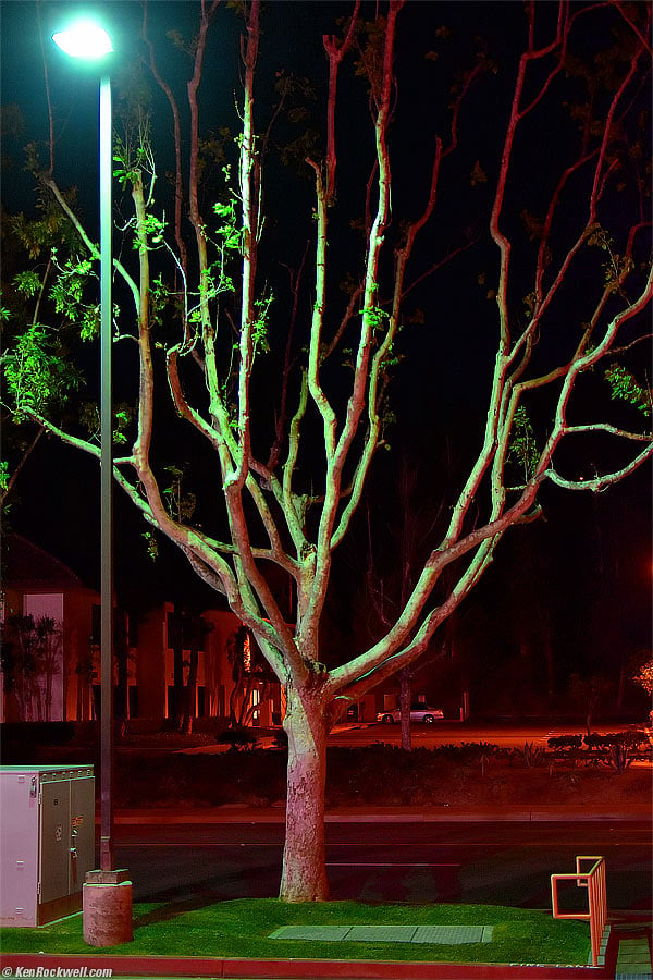 Crazy-colored tree at night, 06 March 2015