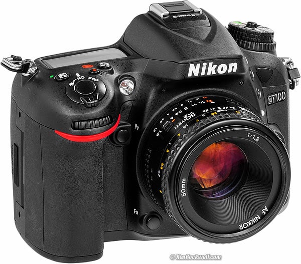 nikon d3500 rockwell