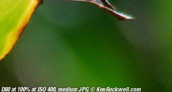 ISO 400