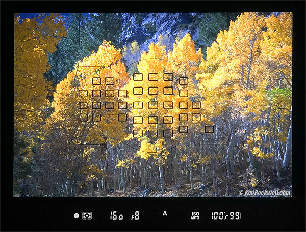 Nikon D810 Finder
