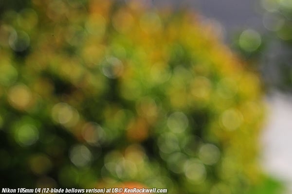 Nikon 105mm f/4 Micro-NIKKOR Macro Review by Ken Rockwell Nikon 105mm f/4 Micro-NIKKOR Macro Review by Ken Rockwell