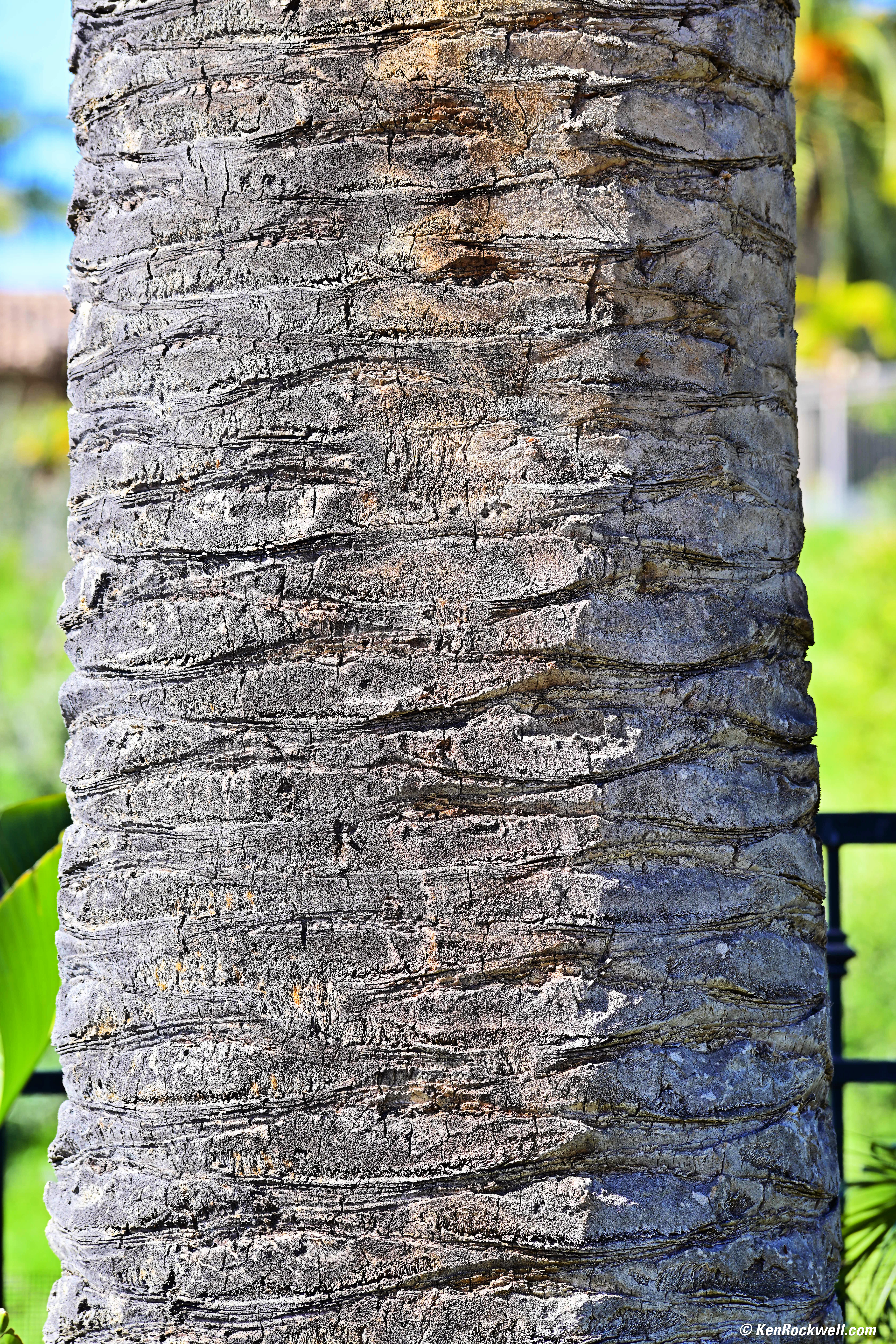 Nikon 180mm f/2.8 ED AI-s Review & Sample Images by Ken Rockwell Nikon 180mm f/2.8 ED AI-s Review & Sample Images by Ken Rockwell