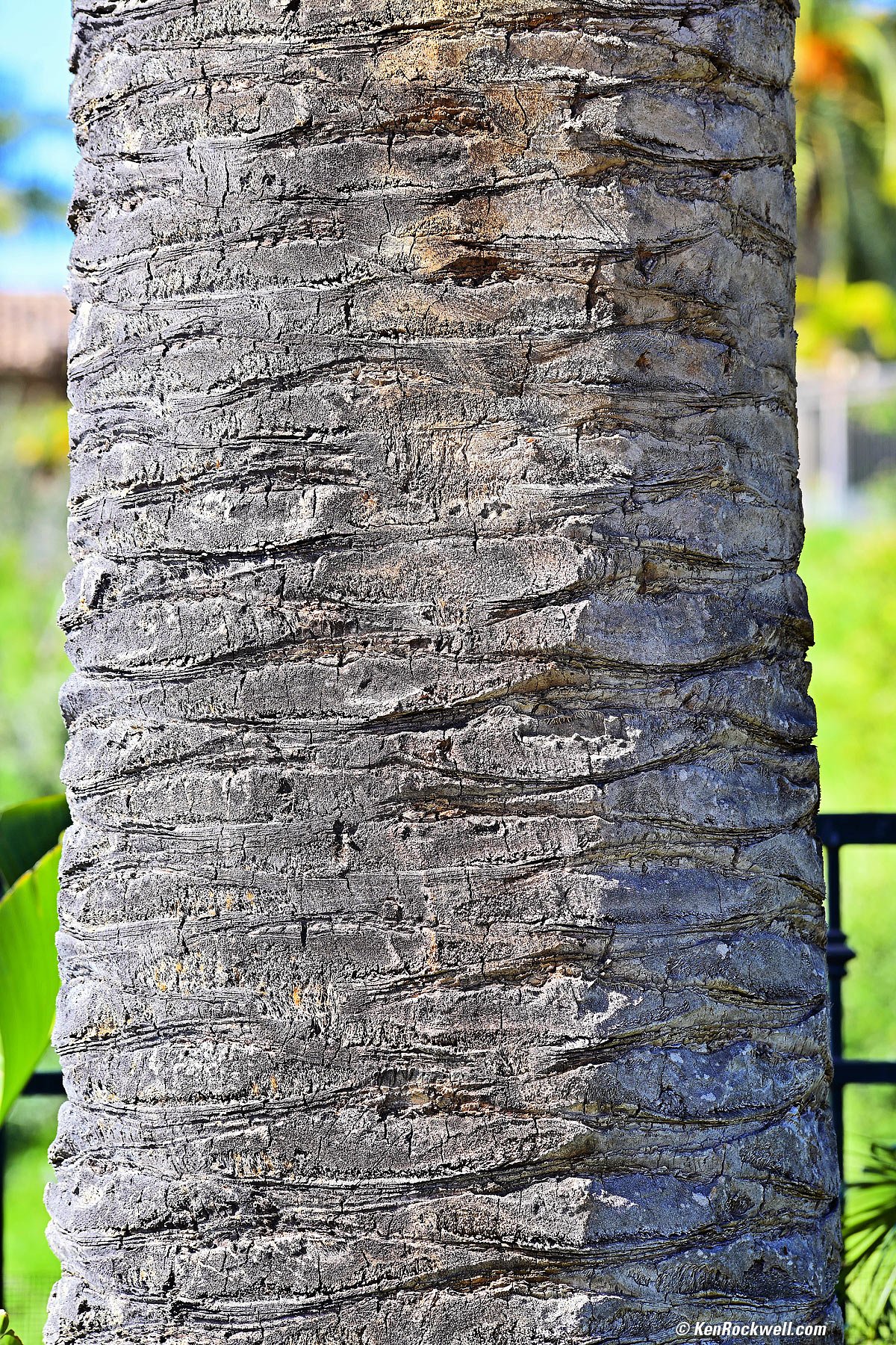 カメラ レンズ(単焦点) Nikon 180mm f/2.8 ED AI-s Review & Sample Images by Ken Rockwell