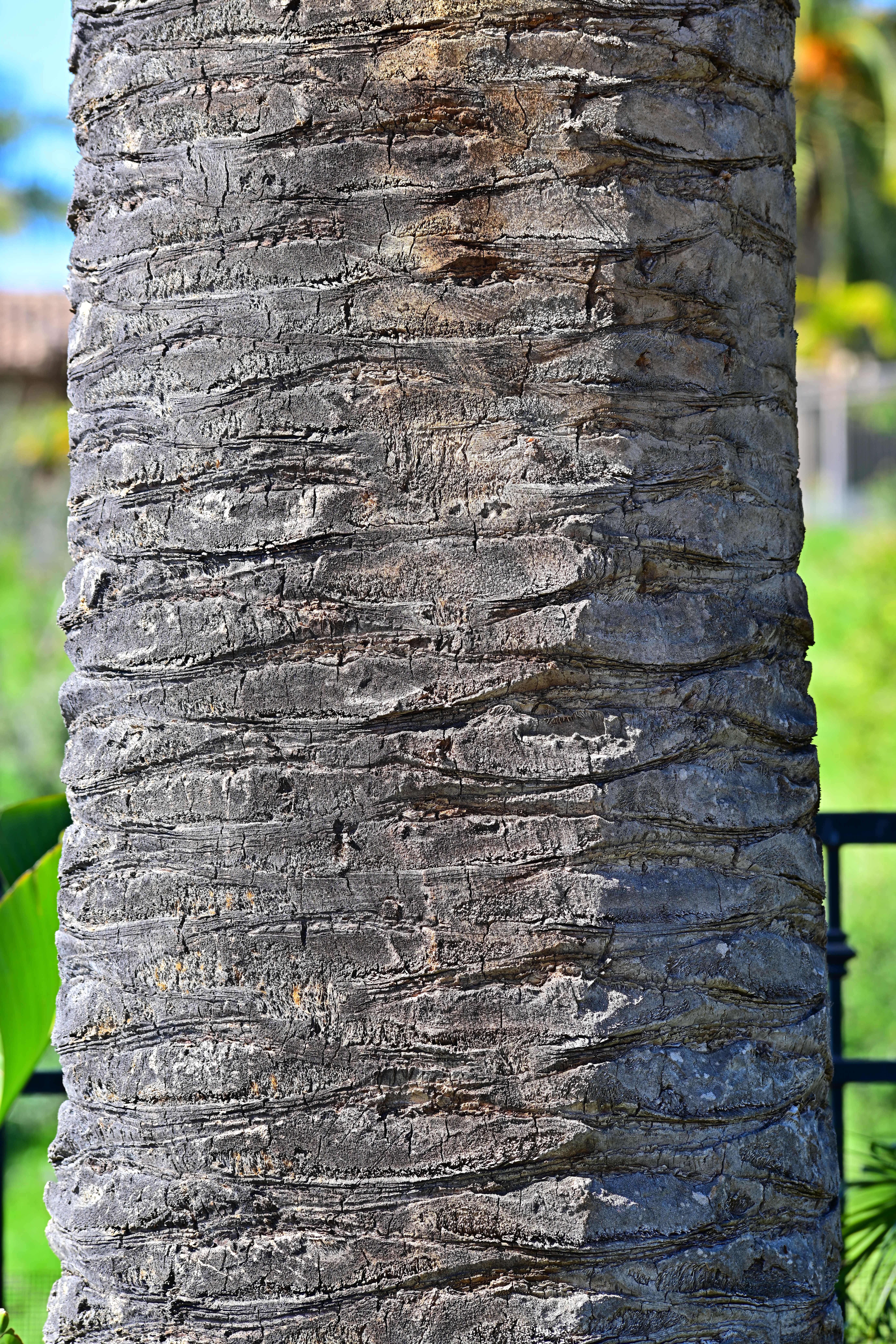 Nikon 180mm f/2.8 ED AI-s Review & Sample Images by Ken Rockwell Nikon 180mm f/2.8 ED AI-s Review & Sample Images by Ken Rockwell