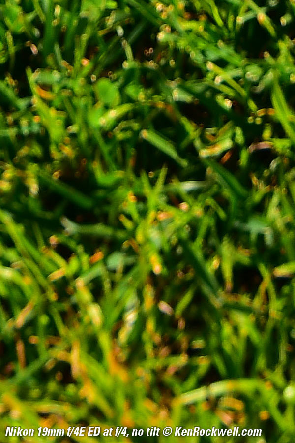 Nikon 19mm PC-E