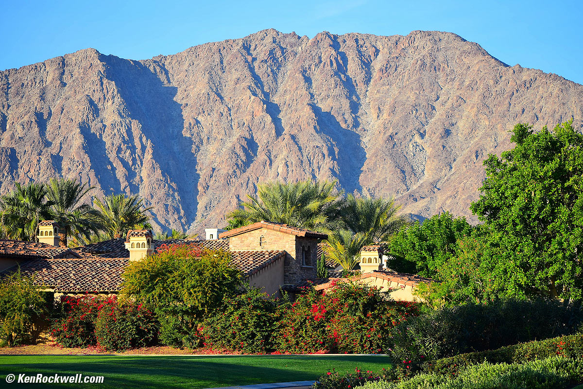 Palms, La Quinta