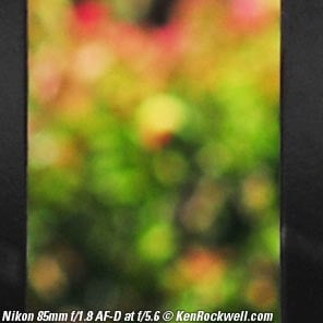 Nikon 85mm f/1.8 AF-D Bokeh