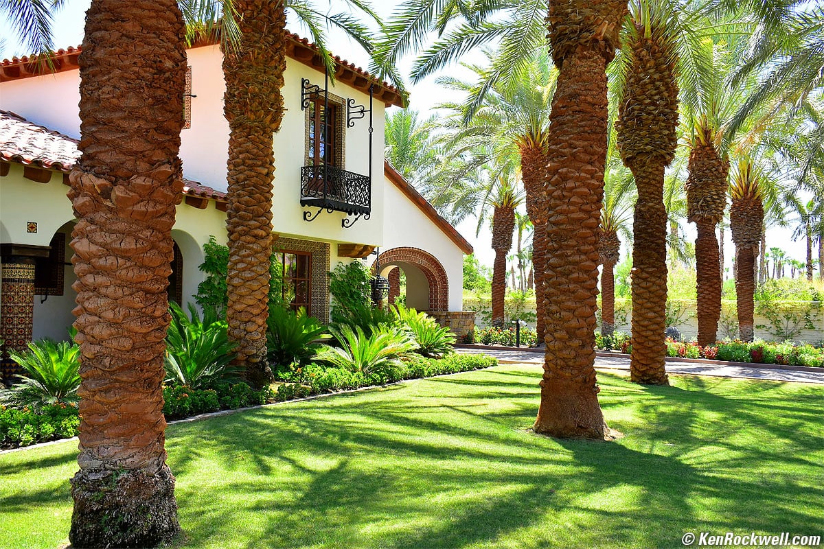 Palm Paradise, Sevilla, Andalucía, España