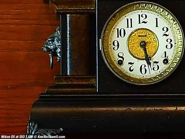 Nikon D5 High ISO Sample Image