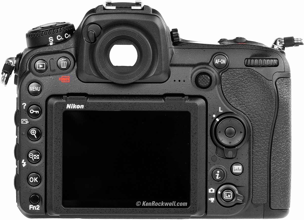 Nikon D500 Review & Sample Images by Ken Rockwell