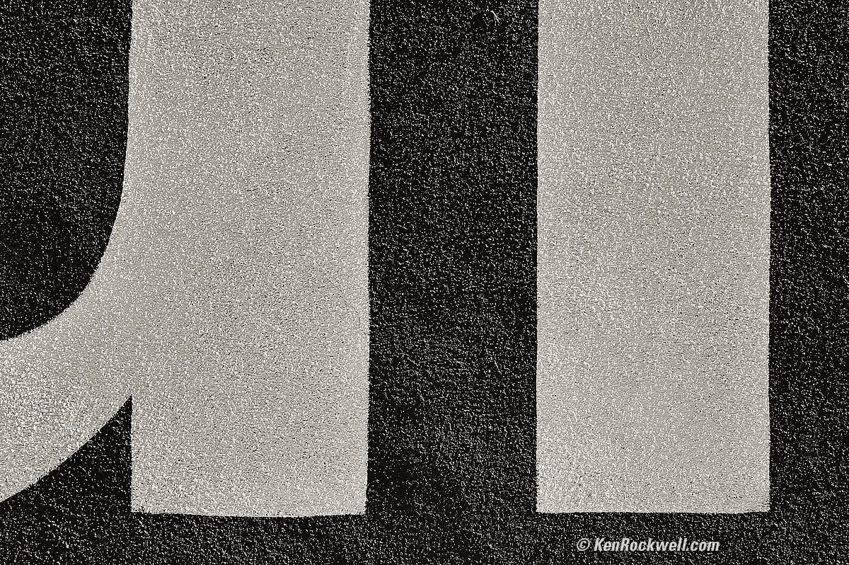 Nikon Z6 Sample Image