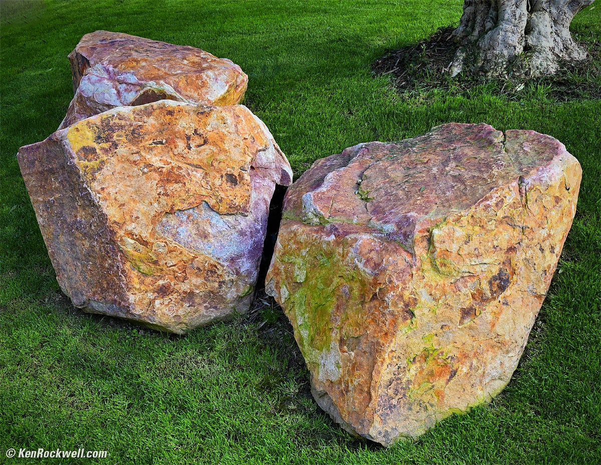 Nikon Z6 Sample Image