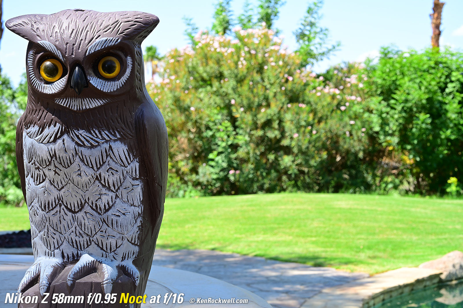 Nikon Z 58mm f/0.95 Noct Review