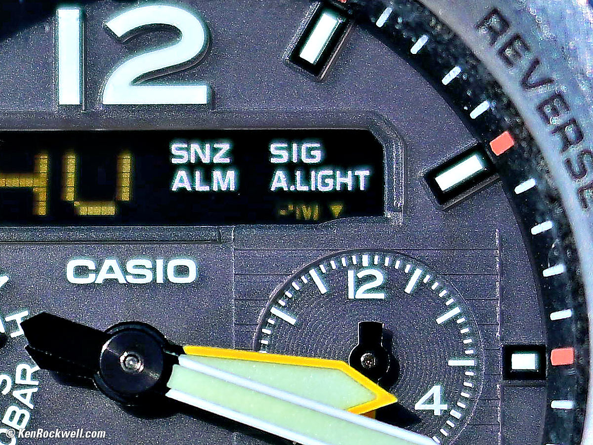 Nikon Z 16-50mm f/2.8 VR DX Macro Sample Image File