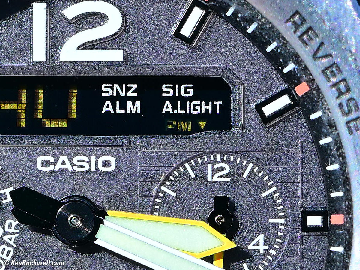 Nikon Z 16-50mm f/2.8 VR DX Macro Sample Image File