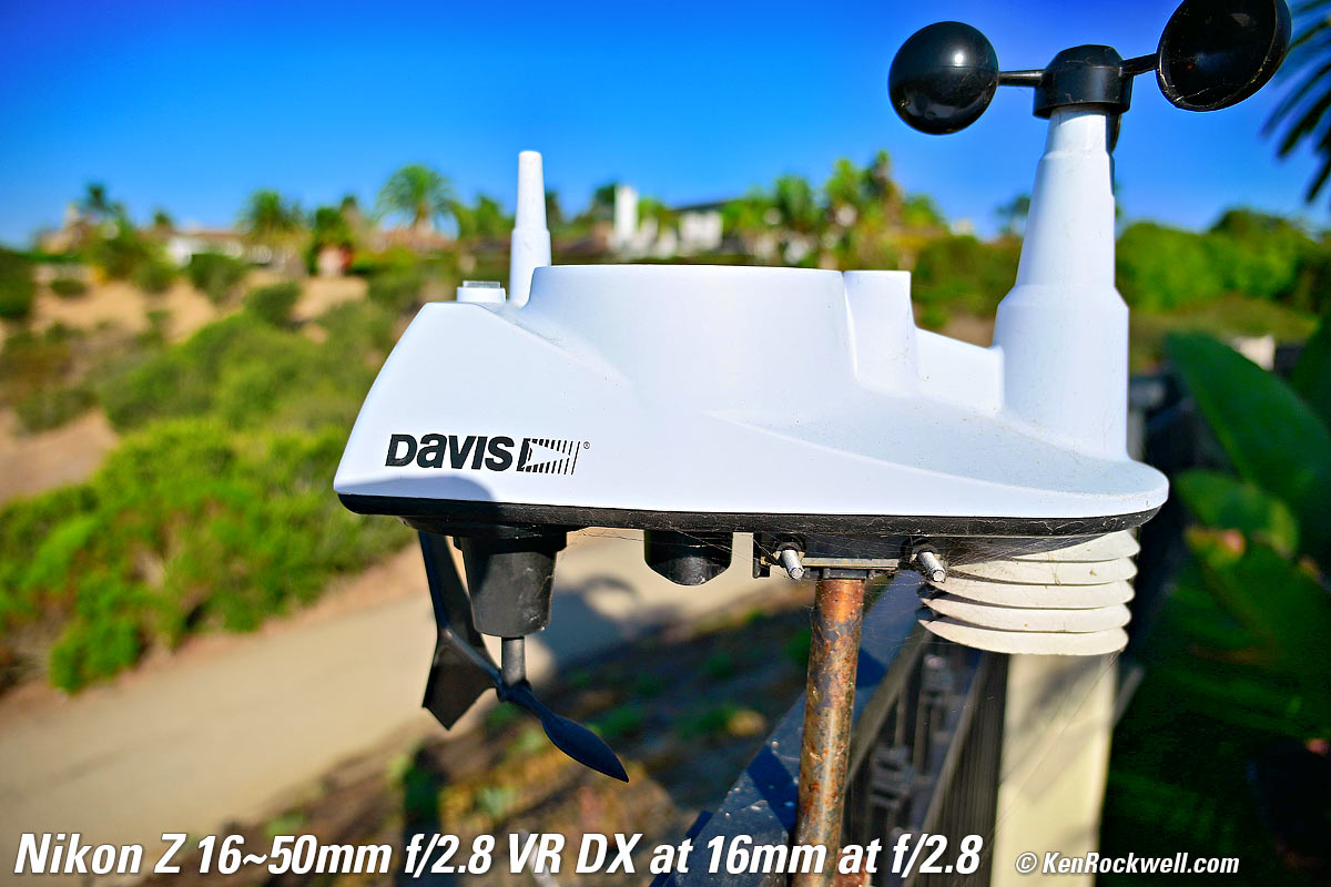 Nikon Z 16-50mm f/2.8 DX VR Bokeh Performance Sample Image File