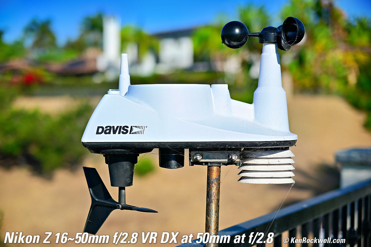 Nikon Z 16-50mm f/2.8 DX VR Bokeh Performance Sample Image File
